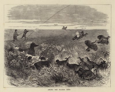 Çayır Tavukları Arasında by Harrison William Weir