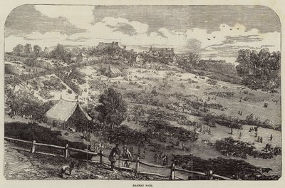 Barnet Fuarı by Harrison William Weir