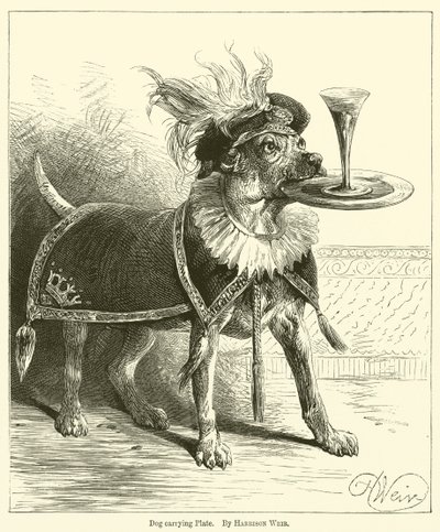 Köpek Taşıma Plakası by Harrison William Weir
