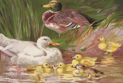  by Harrison William Weir