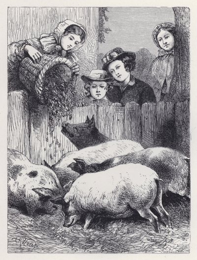 Domuzları Beslemek (gravür) by Harrison William Weir