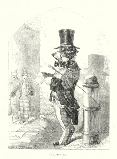 Komik Köpekler: Hızlı Köpek (gravür) by Harrison William Weir