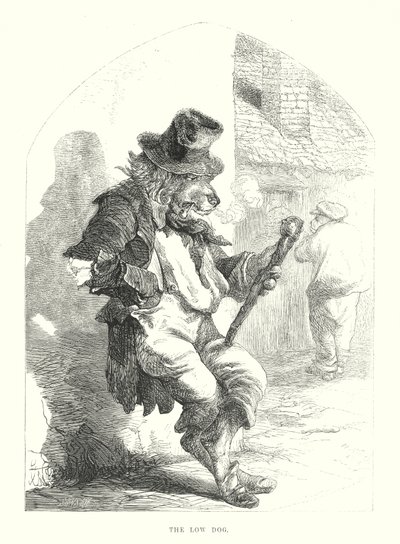 Komik Köpekler: Alçak Köpek (gravür) by Harrison William Weir