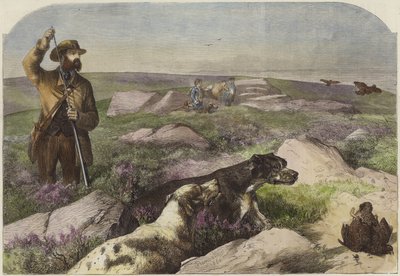Orman tavuğu çekimi by Harrison William Weir