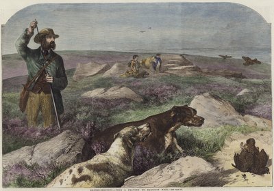 orman tavuğu çekim by Harrison William Weir