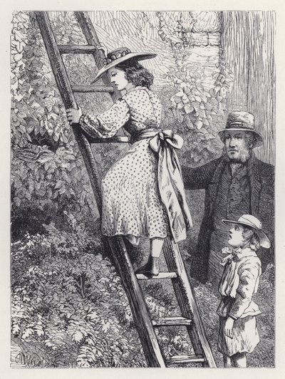 Harriet Robins' Nest'te Peeps (gravür) by Harrison William Weir