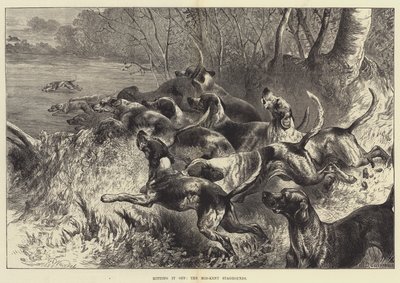 Vurmak, Mid-Kent Staghounds by Harrison William Weir
