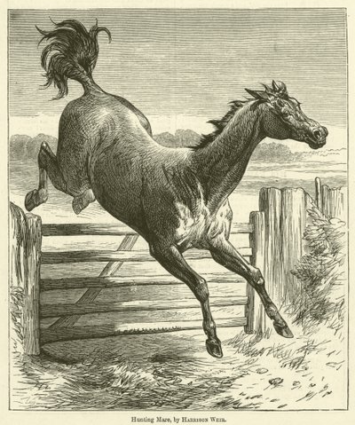 kısrak avı by Harrison William Weir