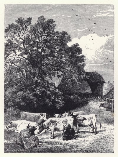 İnekleri Sağmak (gravür) by Harrison William Weir