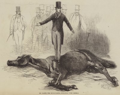 At Terbiyecisi Bay Rarey, Kruvazör üzerinde çalışıyor by Harrison William Weir