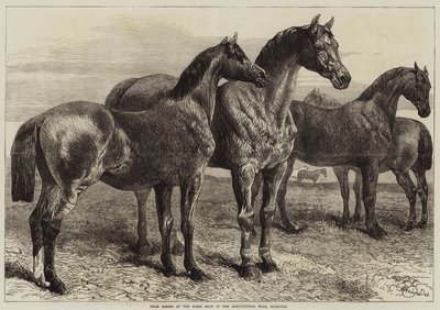 Islington, Tarım Salonundaki At Gösterisinde Ödül Atları by Harrison William Weir