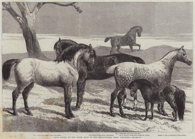 Islington, Tarım Salonundaki At Gösterisinde Ödül Atları by Harrison William Weir