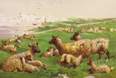  by Harrison William Weir