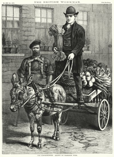 satıcı by Harrison William Weir