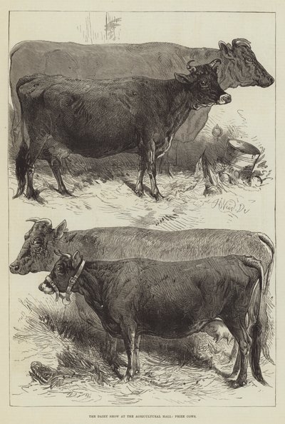 Tarım Salonundaki Süt Gösterisi, Ödül İnekler by Harrison William Weir