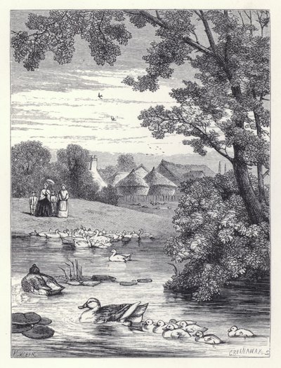 Ördek Göleti (gravür) by Harrison William Weir