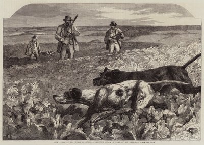 Eylülün İlki, Keklik Çekimi (gravür) by Harrison William Weir
