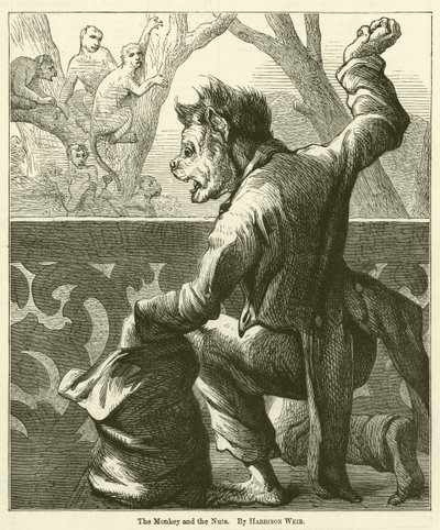 Maymun ve Fındık by Harrison William Weir