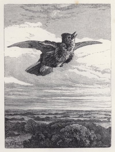 Skylark'ın Şarkısı (gravür) by Harrison William Weir