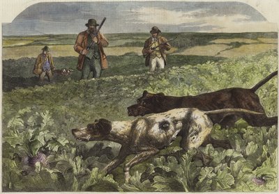 Eylül ayının ilki by Harrison William Weir