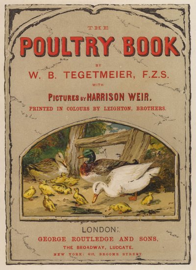 W B Tegetmeier (chromolitho) tarafından yazılan The Poultry Book için başlık sayfası çizimi by Harrison William Weir