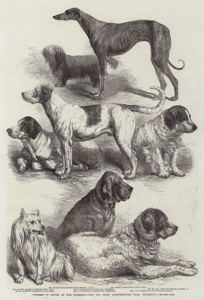 Uluslararası Köpek Gösterisi, Tarım Salonu, Islington