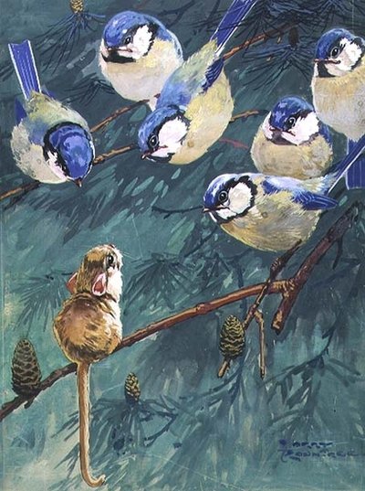 Altı Bire Karşı by Harry Rountree