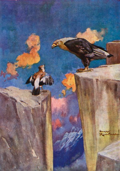 Jay ve Bülbül (renkli taş) by Harry Rountree