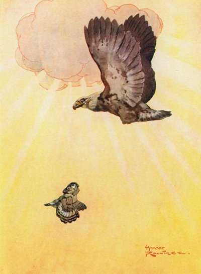 Baykuş ve Kartalın Kızı (renkli taş) by Harry Rountree