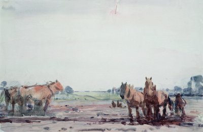 pulluk atları by Harry Becker