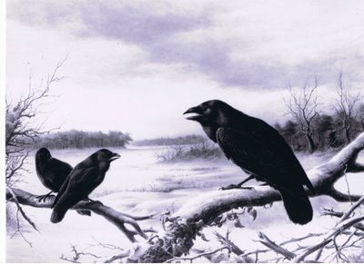 Kışın kuzgunlar by Harry Bright
