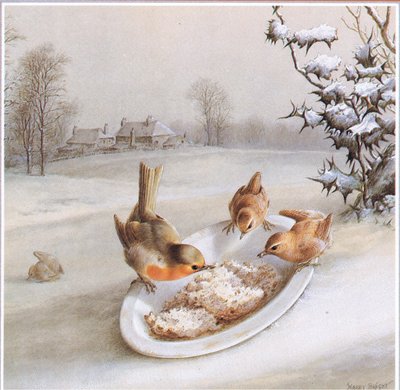 Robins ve Wrens: Kış kahvaltısı, Kartpostal by Harry Bright