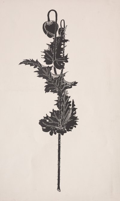Çiçek Çalışması. by Harry Fenn