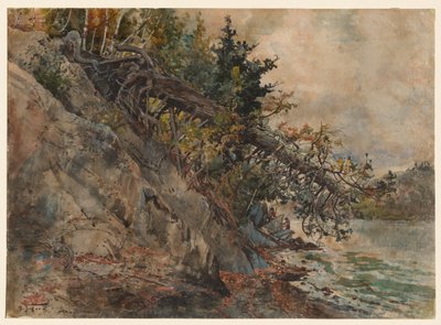 Memphremagog Gölü, c. 1880