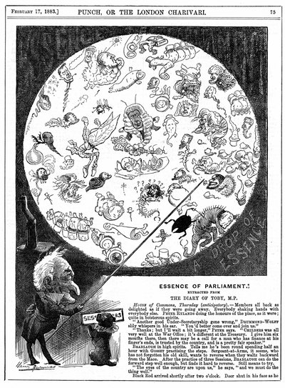 Parlamentonun Özü: 1883 için Parlamentonun ilk oturumunun açılışını gösteren karikatür (ahşap gravür) by Harry Furniss
