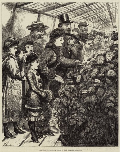 Tapınak Bahçelerinde Krizantem Gösterisi by Harry Furniss