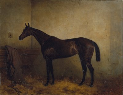 Chaplet, gevşek bir kutuda bir körfez yarışı kısrağı, 1877 dolayları (tuval üzerine yağlı boya) by Harry Hall