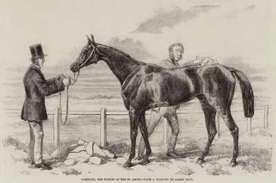 Gamester, St Leger