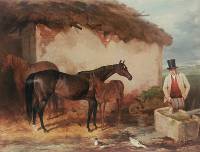 Kısrak Belki tayı ile, 1846 by Harry Hall