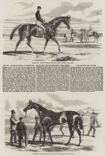 Newmarket