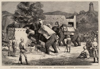 Afganistan, bir Mevkii güçlendiriyor, Filler Müştemilatı yerle bir ediyor by Harry Hamilton Johnston