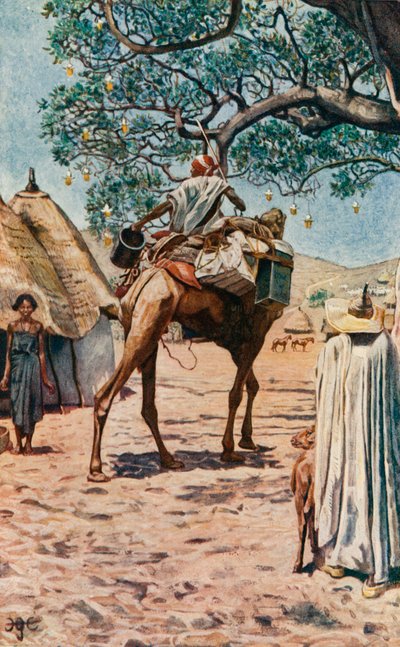 Bornu