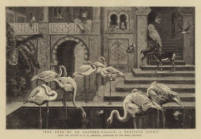 Bir Doğu Sarayının Evcil Hayvanları, Bir Tunus Araştırması by Harry Hamilton Johnston