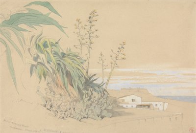 Aloes ve Dikenli Armutlar, Tarragona, İspanya by Harry John Johnson