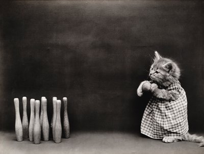 Kedicikler Serisi: Bowling, c.1914 (gümüş baskı) by Harry Whittier Frees