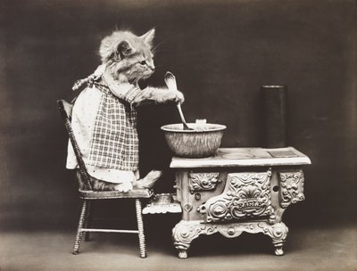 Kedicikler Serisi: Cook at the Stove, c.1914 (gümüş baskı) by Harry Whittier Frees
