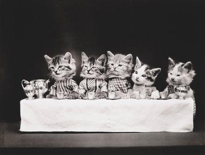 Kedicikler Serisi: Son Akşam Yemeği, c.1914 (gümüş baskı) by Harry Whittier Frees