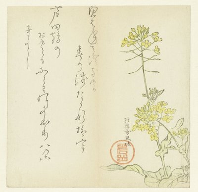 Çiçekler by Hasegawa Settan