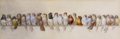 A Levrek of Birds, c.1880 (kağıt üzerine suluboya ve grafit) by Hector Giacomelli