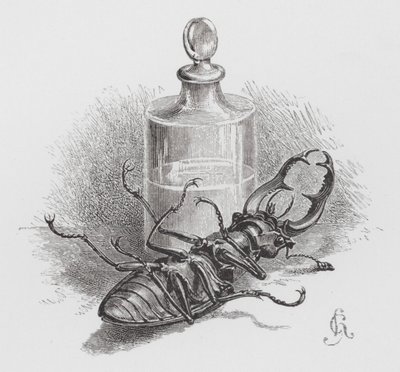 Böcek: Ölü böcek (gravür) by Hector Giacomelli